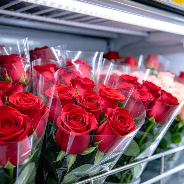Close-up of wrapped red roses on a chilled shelf inside a flower kiosk